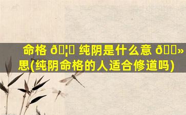 命格 🦉 纯阴是什么意 🌻 思(纯阴命格的人适合修道吗)